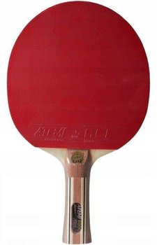 ATEMI 5000 PRO an table tennis racket