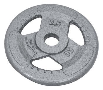 Cast-Iron Weight Disk Plate - Silver 2,5kg