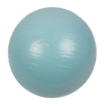 Gym Ball 55cm Vivo FA-2055 Exercise Ball +pump