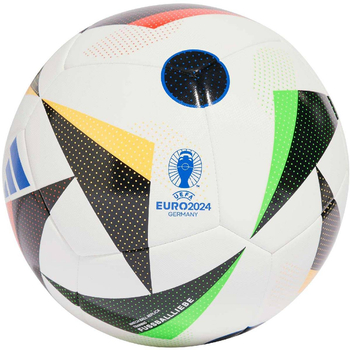 The Adidas Euro24 Fussballiebe Training football IN9366 - r.5