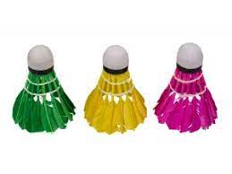 Badminton shuttlecocks Vivo feather colour 3pcs C-200 