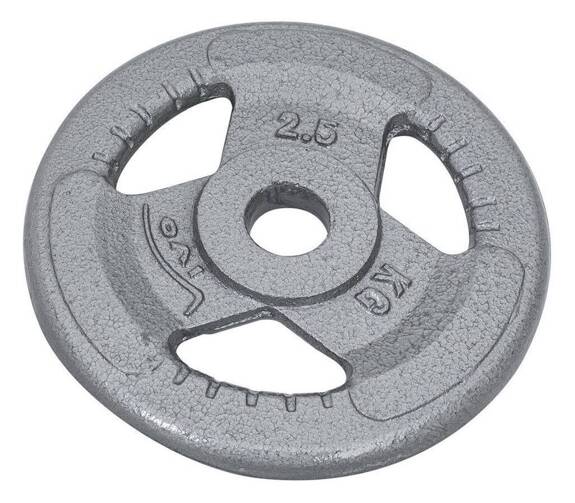 Cast-Iron Weight Disk Plate - Silver 2,5kg