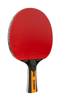 Joola Carbon Control table tennis racket 54190