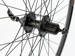 Rear wheel Rodi Corsa  28"-29" hub Shimano FH-TX506, cassette 8-9-10, (disck mounting for 6 screws) / 36-holes Black colour