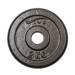 Weight Black Gym Plate - 2 kg, 29 mm