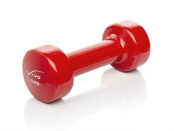 Vinyl Dumbbell 2 kg Red - sold single