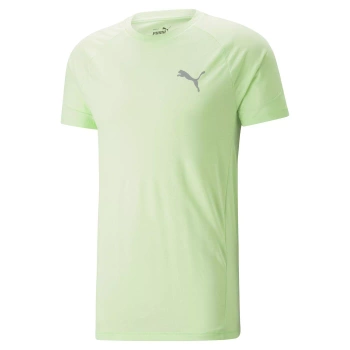 Puma Evostripe 673311-35 Tee spring fern