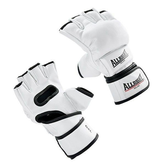 MMA Gloves MMA Pro PU  Allright White